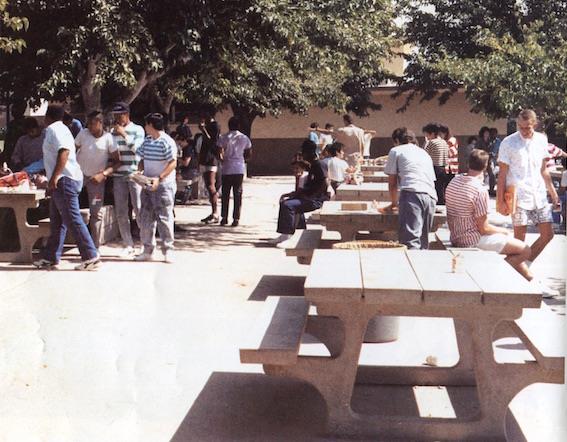 students eating lunch at outside tables 