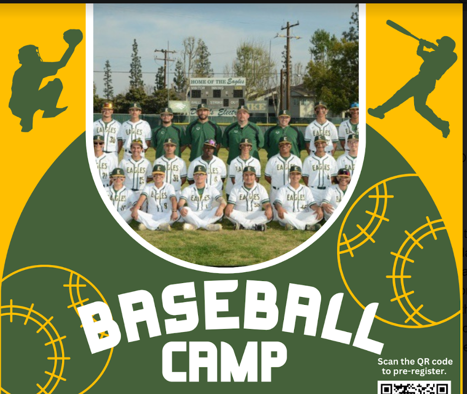  Baseball Camp